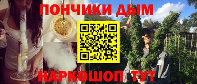 гидра Кингисепп