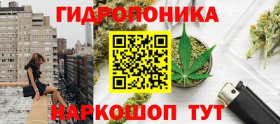 гидра Кингисепп