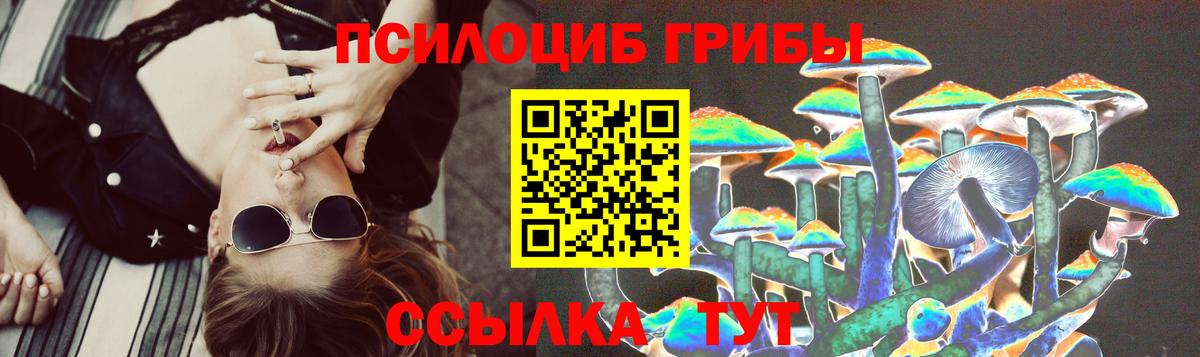 где купить наркоту  Галлюциногенные грибы Psilocybine cubensis  Вход с VPN  Южноуральск 