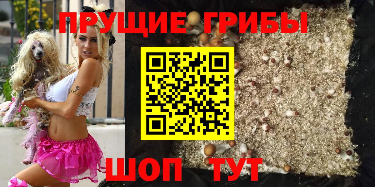 Псилоцибиновые грибы прущие грибы Южноуральск